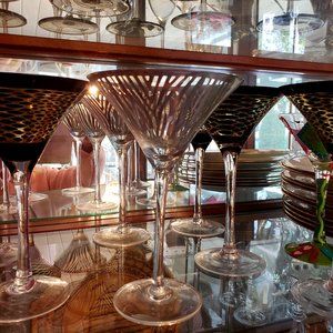 Set of 7: Gorgeous Animal Print Martini Glasses